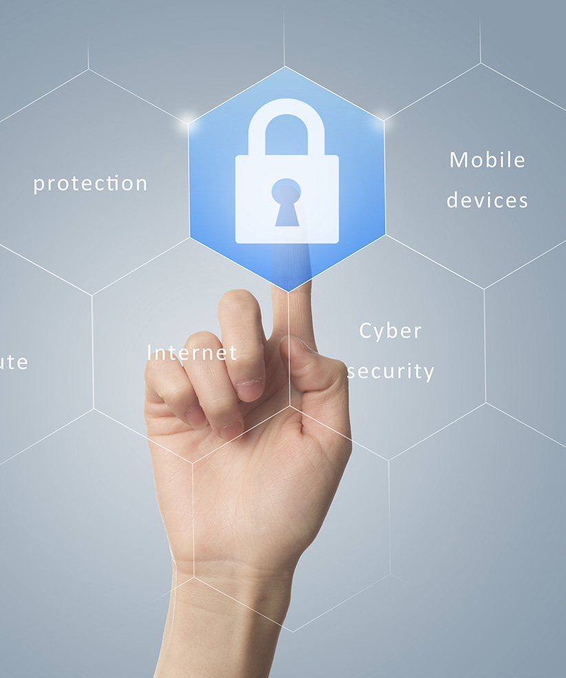 Consulente Privacy